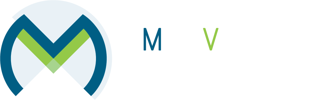 EmmeViStudio Logo